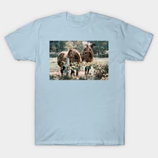 Two Horses 1D T-Shirt